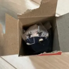 呪術廻戦 狗巻棘 まめころりん