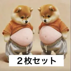 おなか シール 2枚セット ぷにぷに 柴犬 立体 3D ステッカー スクイーズ