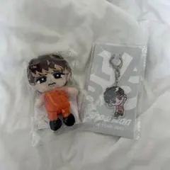 スノ 向井康二 ちびぬい アクキー