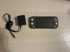 Nintendo Switch Lite グレー 本体と充電器