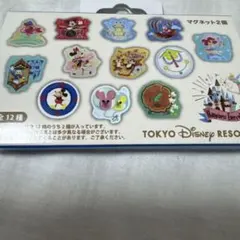 東京ディズニーリゾート マグネット2個 - メルカリ