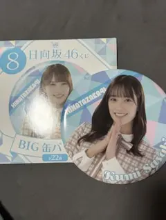 日向坂46 金村美玖 加藤史帆 グッズ まとめ売り 生写真 アクスタ 缶バッジ 日向坂46 佐々木久美 似顔絵缶バッジ 加藤史帆 ひなあい ガチャ - メルカリ