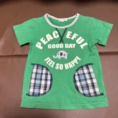 子供用 半袖Tシャツ 100cm グリーン 象柄のサムネイル