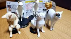 猫フィギュア 6体セット ガチャガチャ