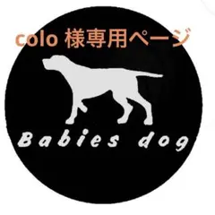 colo様専用ページ　キラキラビーズ入りハーフチョーク　ちゃーむ付き　パラコード