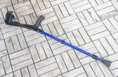 Item thumbnail for item 008a1a77-3ebf-48d1-a4fa-8a8fc22b1714