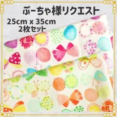 【ぷーちゃ様リクエスト】25×35 ランチョンマット 給食ナフキン 2枚セット
