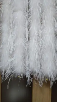 社交ダンス フロート