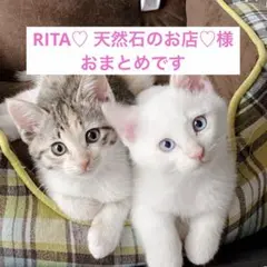 RITA♡ 天然石のお店♡様 リクエスト 3点 まとめ商品