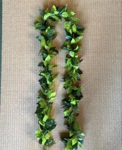 Item thumbnail for item f733afd2-831c-4049-8f89-9cc8dd686ca9