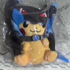 2025年最新】リザードン ポンチョの人気アイテム - メルカリ