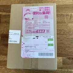 インフェルノX シュリンク付き　ボックス　ポケモンセンターオンライン当選分