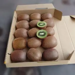 キウイフルーツ。15個。無農薬です。