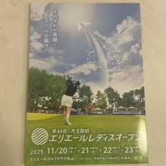 Item thumbnail for item e859abb3-da51-48a6-907a-5da176af3649