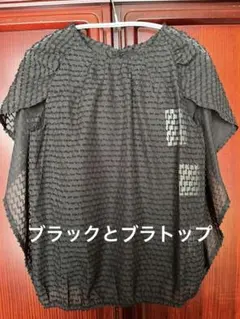 AIJANアイジャン　新品タグ付き　黒半袖ブラウスとブラトップキャミソール付きのサムネイル