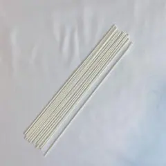 Item thumbnail for item 16bb9118-0c3a-4151-bb78-8e82fb80f2ca