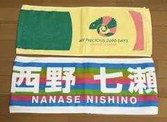 Item thumbnail for item ca559c23-cfd2-4c29-b6db-43d00b73d8fa