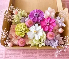 プリザーブド花材セット ピンクパープル系 紫陽花 ジニア大輪入り