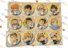 ハイキュー！！　アニメイトカフェ トレーディング缶バッジ サマースタイルver.