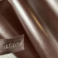 Item thumbnail for item c0faf32a-0a5e-4df7-a5ea-bb724d1ba023