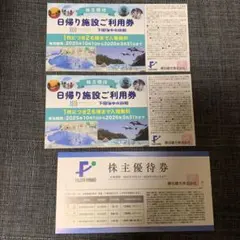 【匿名配送】藤田観光　ユネッサン株主優待券日帰り施設利用券2枚・株主優待券1枚