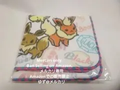 【ポケモン】ITS’DEMOミニタオル★イーブイフレンズ★新品未開封