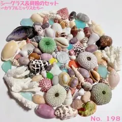 씨 글래스 앤 씨쉘 세트 No.198