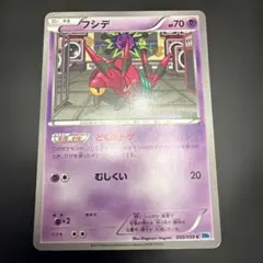 フシデのサムネイル