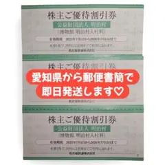 3枚　6名様分　明治村　割引券　入村割引　博物館 名鉄　株主優待