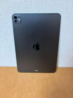極美品iPad Pro M4 第7世代11inch 256GB 箱あり - メルカリ