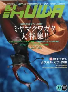 BE KUWA 2004年11月 No.11ミヤマクワガタ大特集