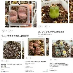 専用❤️速達付き同梱-200円pukuꕤ…˖*様 リクエスト 5点 まとめ商品