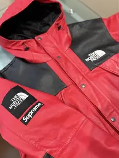 THE NORTH FACE × Supreme レザーマウンテンパーカー