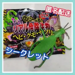 のび〜る！ヤバい危険生物ヘビ・クモ・サソリBOOK シークレット カマキリ