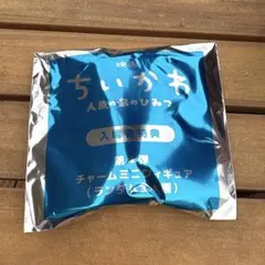 ちいかわ 映画 人魚の奇跡のひみつ 入場者特典 第4弾 チャームミニフィギュア
