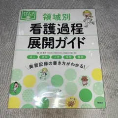 領域別看護過程展開ガイド 成人 老年 小児 母性 精神 実習記録の書き方
