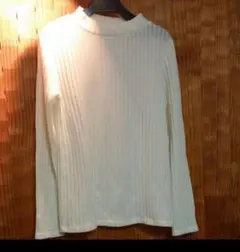 VISハイネック リブニット