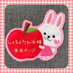 しょちょたん※様専用ページ　☆入園準備　フェルト名札　ワッペン☆