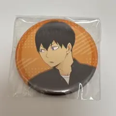 ハイキュー アニメイトポイント景品 影山飛雄 缶バッジ 烏野 アニメイト 非売品