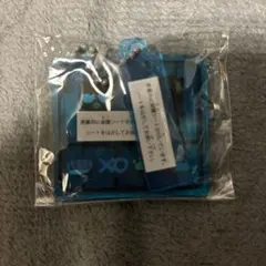 サンリオ　バッドばつ丸　プラスチックモデル　アクリルキーチェーン　ガチャ