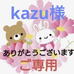 ♦︎ kazu様♦︎ご専用