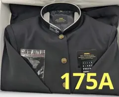 Item thumbnail for item 18d8d3d7-15e3-40b9-873f-b9ae9a90fd42