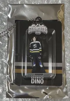 匿名配送 セブチ HOME アクリルキーリング ディノ