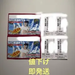 ナガシマスパーランド ジャンボ海水プール 特別入場券 4枚セット