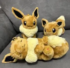 【新品♡美品】ポケモンセンター イーブイ ぬいぐるみ 3点セット 2018年