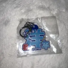 中日ドラゴンズ 大島洋平 アクリルキーホルダー