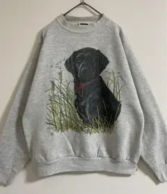 グレー アニマル