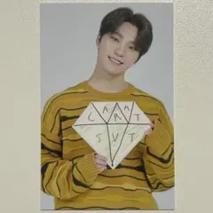 SEVENTEEN CARAT LAND 2020 ディノ トレカ