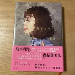 カモフラージュ