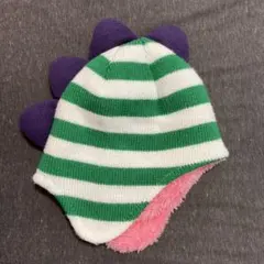 恐竜デザイン ニット帽 緑と白のストライプ